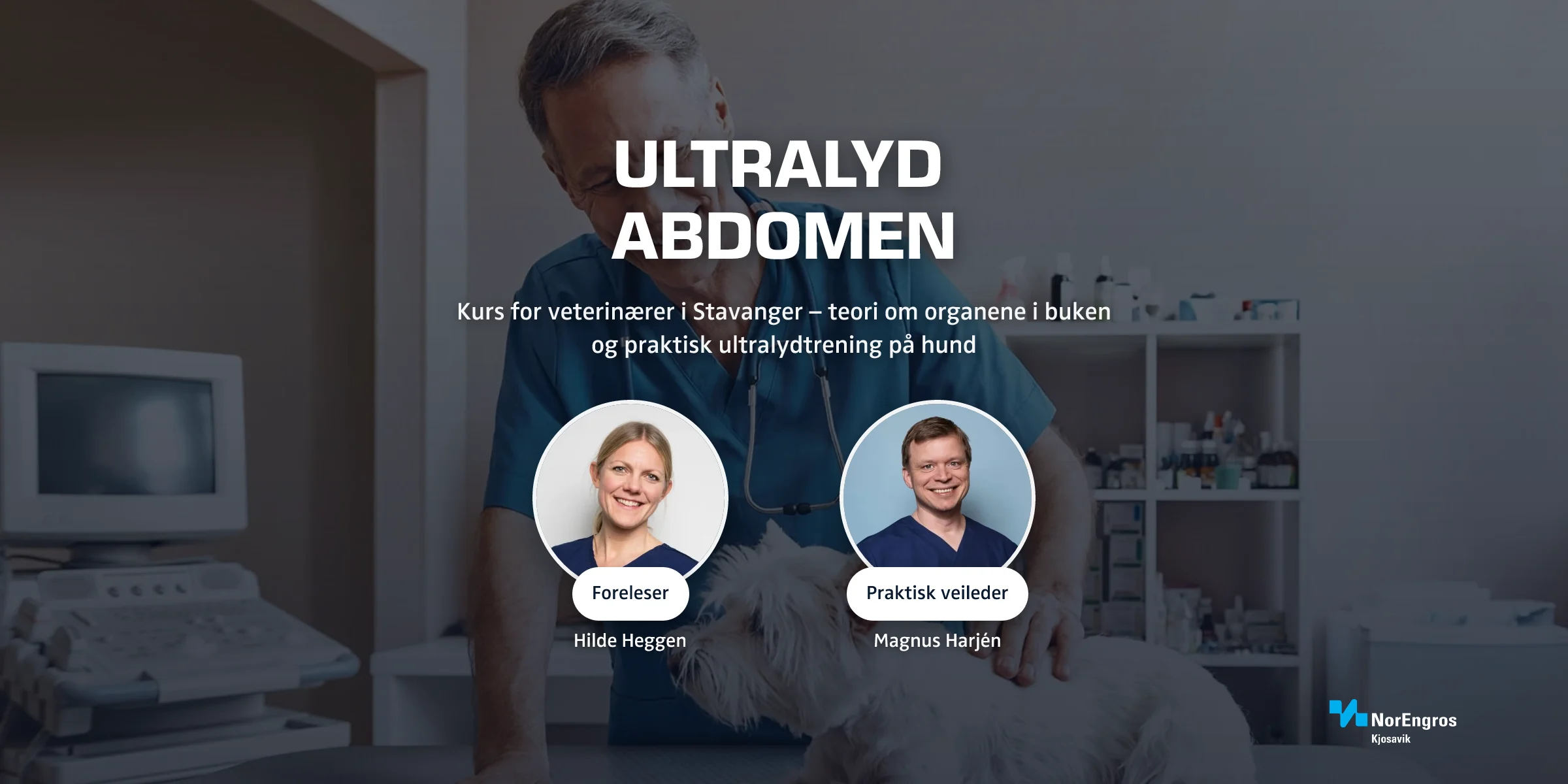 Nybegynnerkurs i ultralyd abdomen